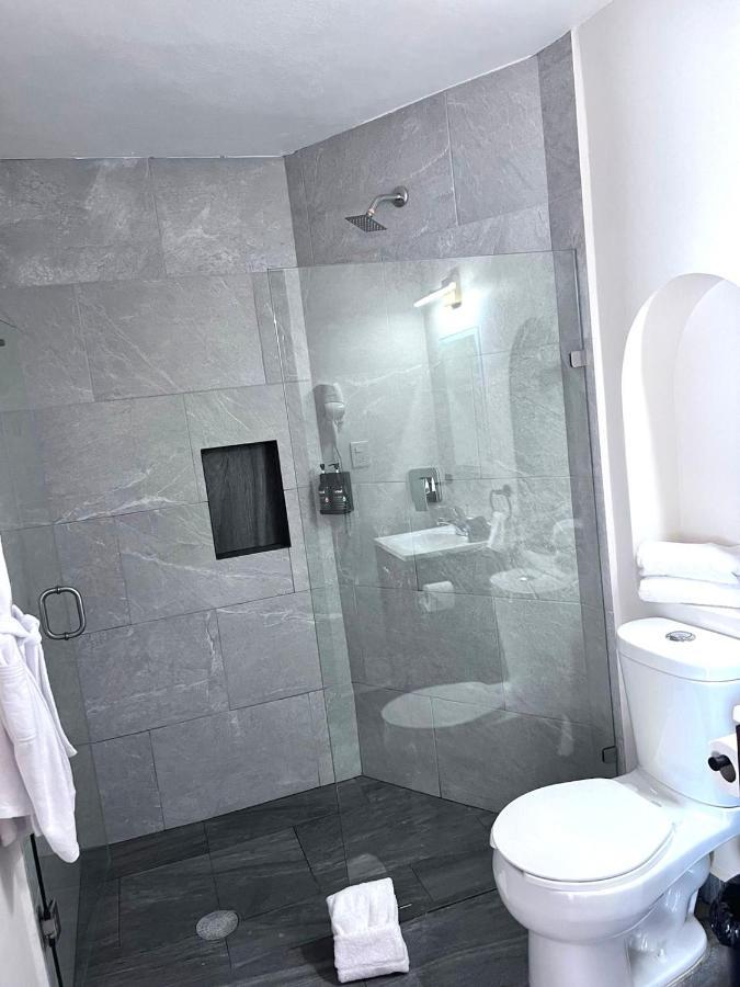 Suites Del Jardin Principal Гуанахуато Екстериор снимка