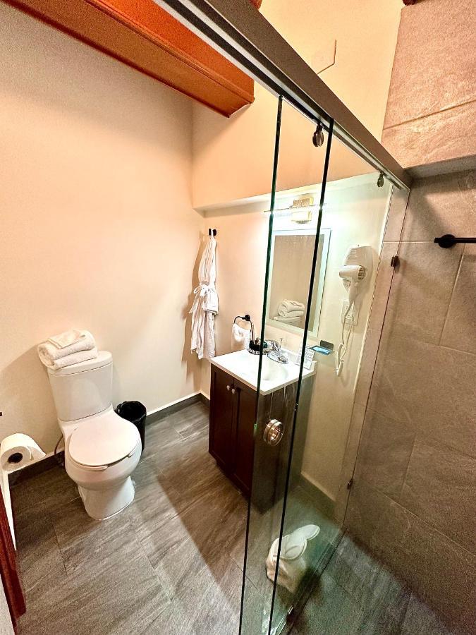 Suites Del Jardin Principal Гуанахуато Екстериор снимка